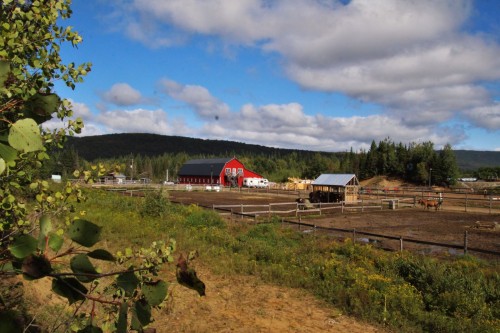 Façade - 21 Allée Du Cavalier, Shannon, QC - Outdoor With View