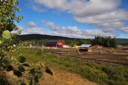 21 Allée du Cavalier  Shannon, QC G3S 1S5