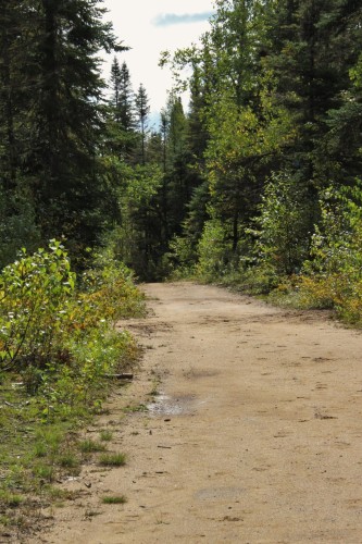 Extérieur - 21 Allée Du Cavalier, Shannon, QC - Outdoor With View