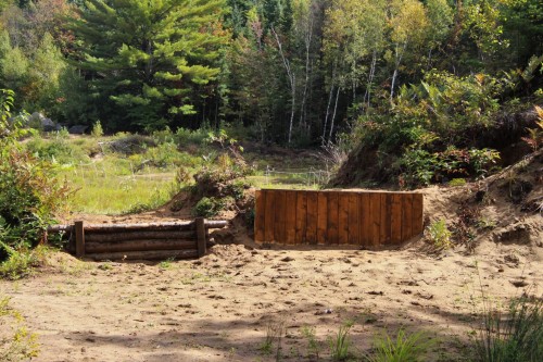 Extérieur - 21 Allée Du Cavalier, Shannon, QC - Outdoor