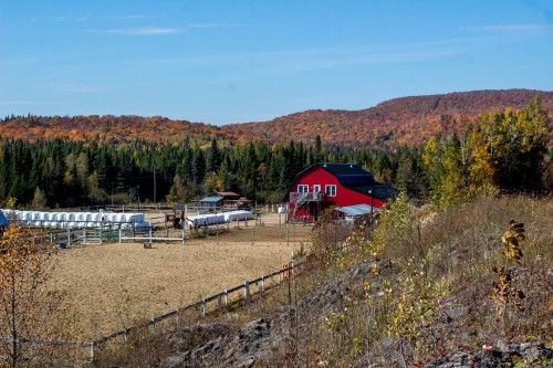 Extérieur - 21 Allée Du Cavalier, Shannon, QC - Outdoor With View