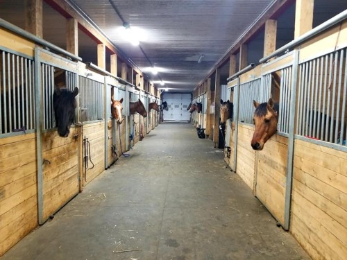 Écurie - 21 Allée Du Cavalier, Shannon, QC - Indoor Photo Showing Other Room