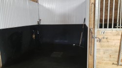 Écurie - 