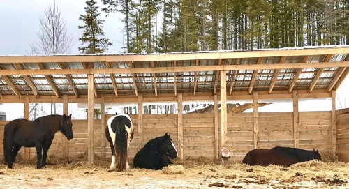 Extérieur - 21 Allée Du Cavalier, Shannon, QC - Outdoor