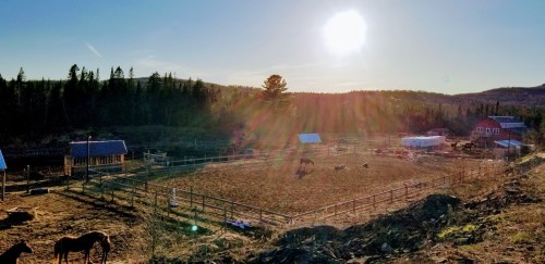 Extérieur - 21 Allée Du Cavalier, Shannon, QC - Outdoor With View