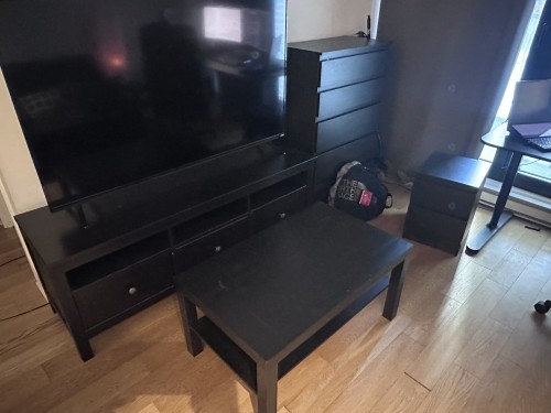 Salon - 214-738 Rue St-Paul O., Montréal (Ville-Marie), QC - Indoor