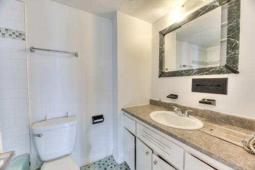 Salle de bains - 302-3355 Rue Ivan-Franko, Montréal (Lachine), QC - Indoor Photo Showing Bathroom