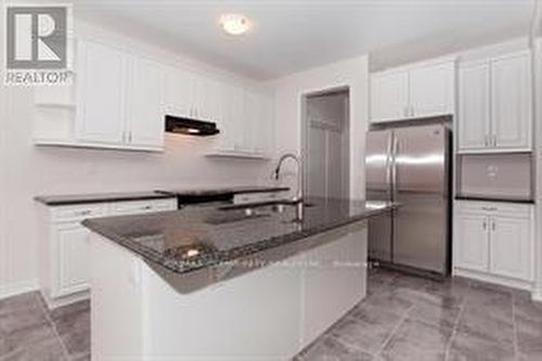 369 Falling Green Crescent, Kitchener, ON - Indoor Photo Showing Kitchen With Upgraded Kitchen