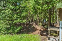 Glimpse of Lake Huron from the back yard - 