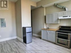 202 - 490 QUEEN STREET W  Toronto, ON M5V 2B3