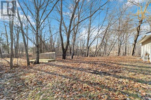 1671 Third Street Louth Street, St. Catharines (Rural Fourth), ON - Outdoor With View