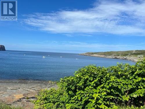 23 Wade Lane Unit#A, Flatrock, NL 