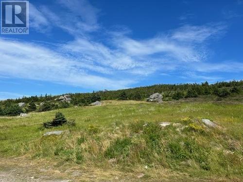 23 Wade Lane Unit#A, Flatrock, NL 
