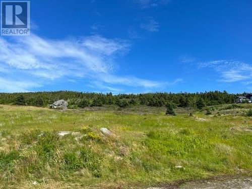 23 Wade Lane Unit#A, Flatrock, NL 