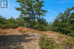 180 PRISQUE ROAD  Georgian Bay (Baxter), ON P0E 1E0