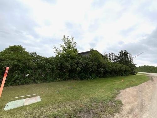14 Queen Elizabeth Avenue, Erickson, MB - Outdoor