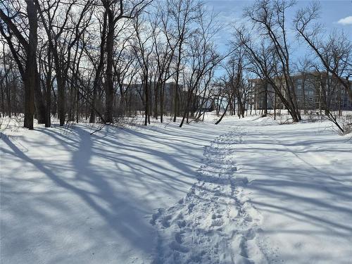 Take a walk down the Seine River - 200 Sioux Road W, Winnipeg, MB 