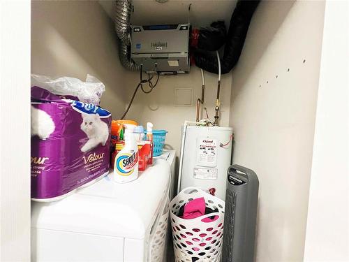 3 Nerissa Place, St.John'S, NL 