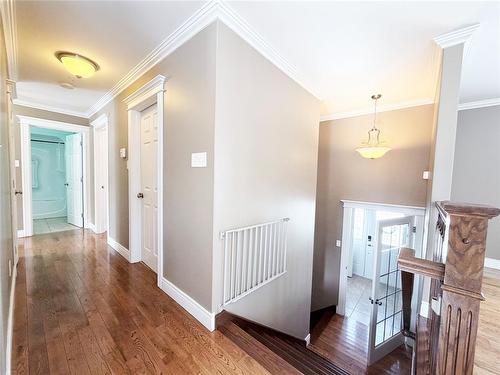 3 Nerissa Place, St.John'S, NL 