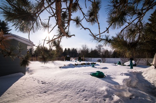 Extérieur - 780 Rue Taché, Saint-Pascal, QC - Outdoor