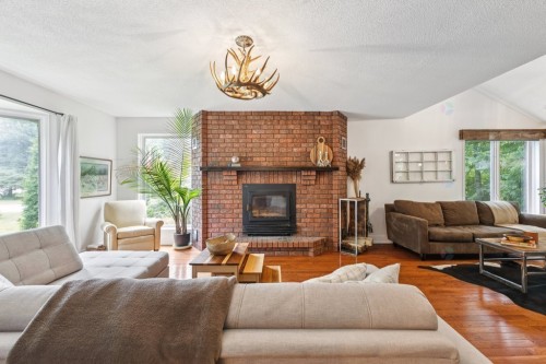 Salon - 29 Ch. Dunn, Chelsea, QC - Indoor Photo Showing Living Room With Fireplace