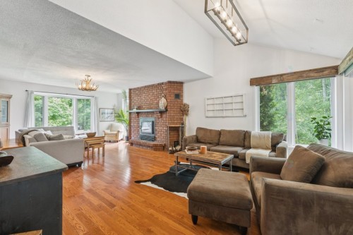 Salon - 29 Ch. Dunn, Chelsea, QC - Indoor Photo Showing Living Room With Fireplace