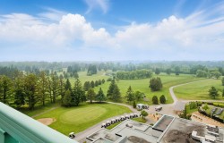 Aerial View - 