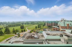 Aerial View - 