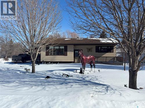299 9Th Avenue, Broadview, SK - Outdoor