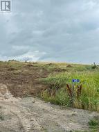 252 CONCESSION ROAD 13 E  Trent Hills, ON K0L 1Y0