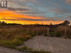 252 CONCESSION ROAD 13 E Trent Hills, ON K0L 1Y0