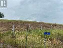 250 CONCESSION ROAD 13 E  Trent Hills, ON K0L 1Y0