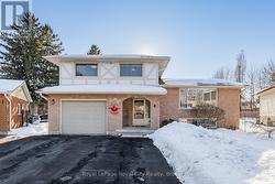 21 GLENDA COURT  Guelph (Willow West/Sugarbush/West Acres), ON N1H 6V6