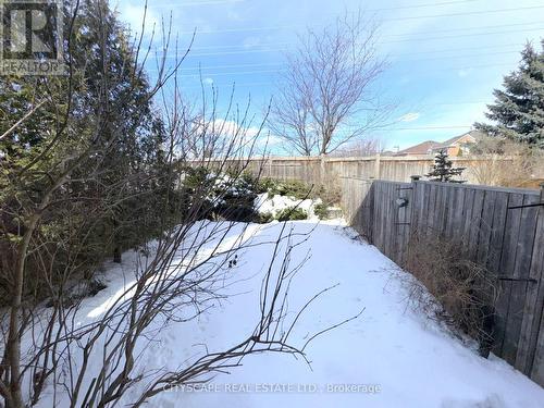 Backyard - 3970 Arbourview Terrace, Mississauga, ON - Outdoor