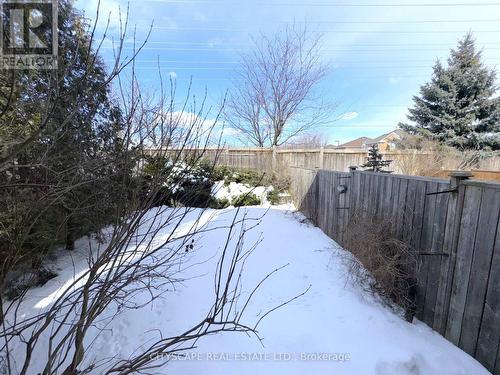 Backyard - 3970 Arbourview Terrace, Mississauga, ON - Outdoor