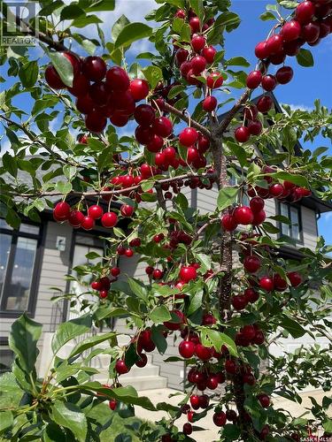 1526 Shepherd Crescent, Saskatoon, SK - Outdoor