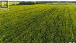 8 Quarters & Yard Site Near Yorkton (Buckingham) Saltcoats Rm No. 213, SK S0A 3J0