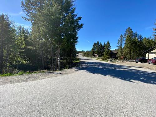 Copper Point Way, Windermere, BC - Outdoor