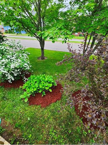 12 Kilburn, Moncton, NB 