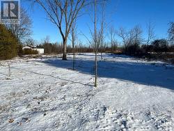 8645 BANK STREET  Ottawa, ON K0A 3J0