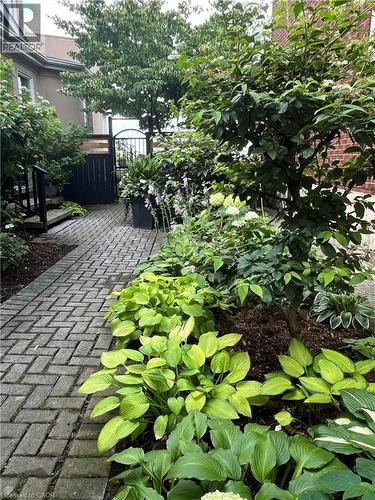 91 Mountain Park Avenue, Hamilton, ON - Outdoor