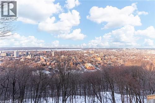 91 Mountain Park Avenue, Hamilton, ON - Outdoor With View