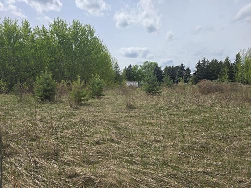 488  Lakeside Drive, Spring Lake, AB 