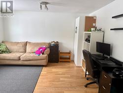 Lower level family room - 