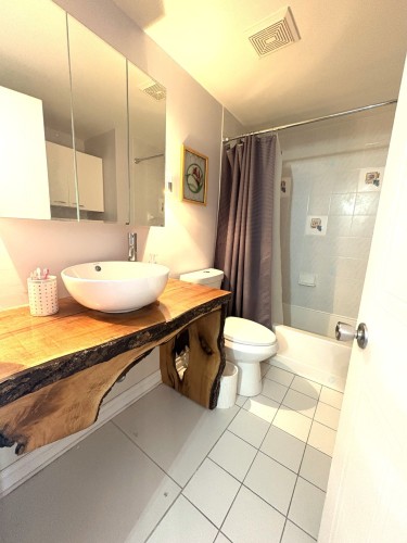 Salle de bains - 201-95 Rue Pierre-Laporte, Saint-Eustache, QC - Indoor Photo Showing Bathroom