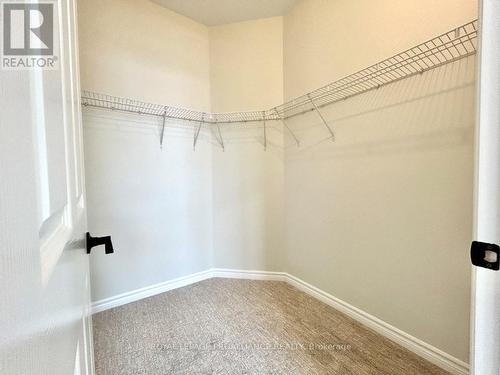 35 Athabaska Drive, Belleville (Thurlow Ward), ON - Indoor With Storage