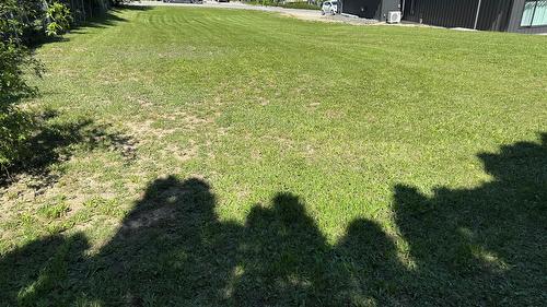 1429 Alder Street, Creston, BC - Outdoor