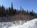 0 Highway 19, Dunvegan, NS 