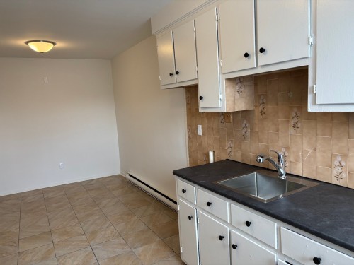 Cuisine - 8920 14E Avenue, Montréal (Villeray/Saint-Michel/Parc-Extension), QC - Indoor Photo Showing Kitchen