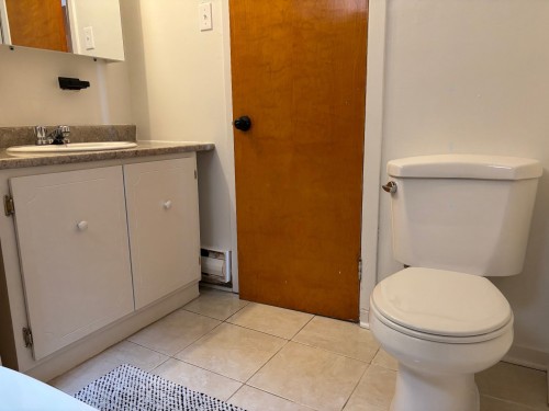 Salle de bains - 8920 14E Avenue, Montréal (Villeray/Saint-Michel/Parc-Extension), QC - Indoor Photo Showing Bathroom